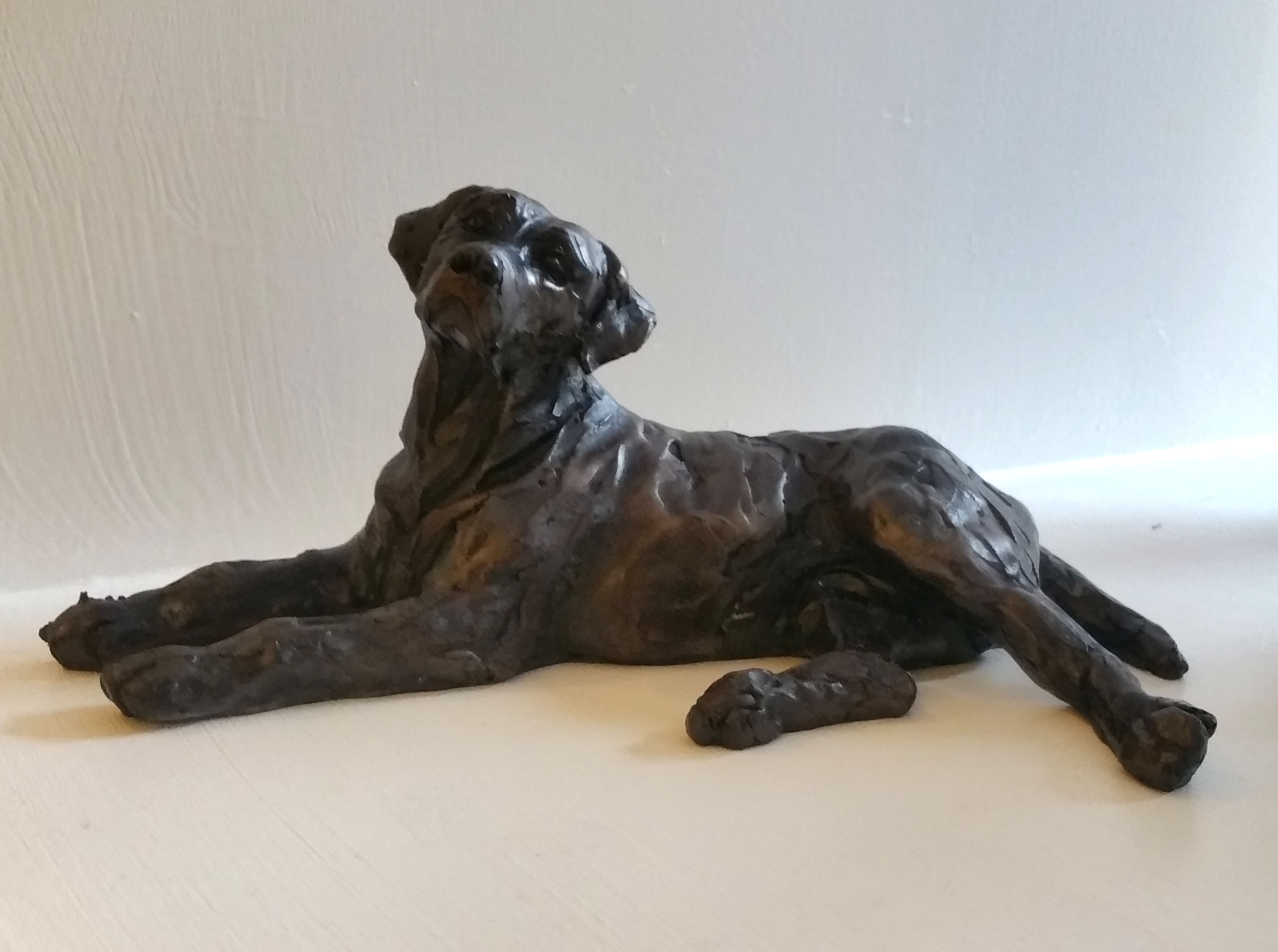 'Labrador II' by artist April Young