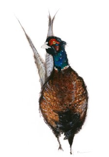 'Pheasant' by artist Rebecca Kelly