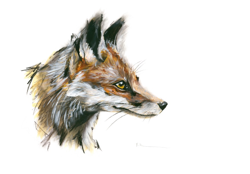 'Fox' by artist Rebecca Kelly
