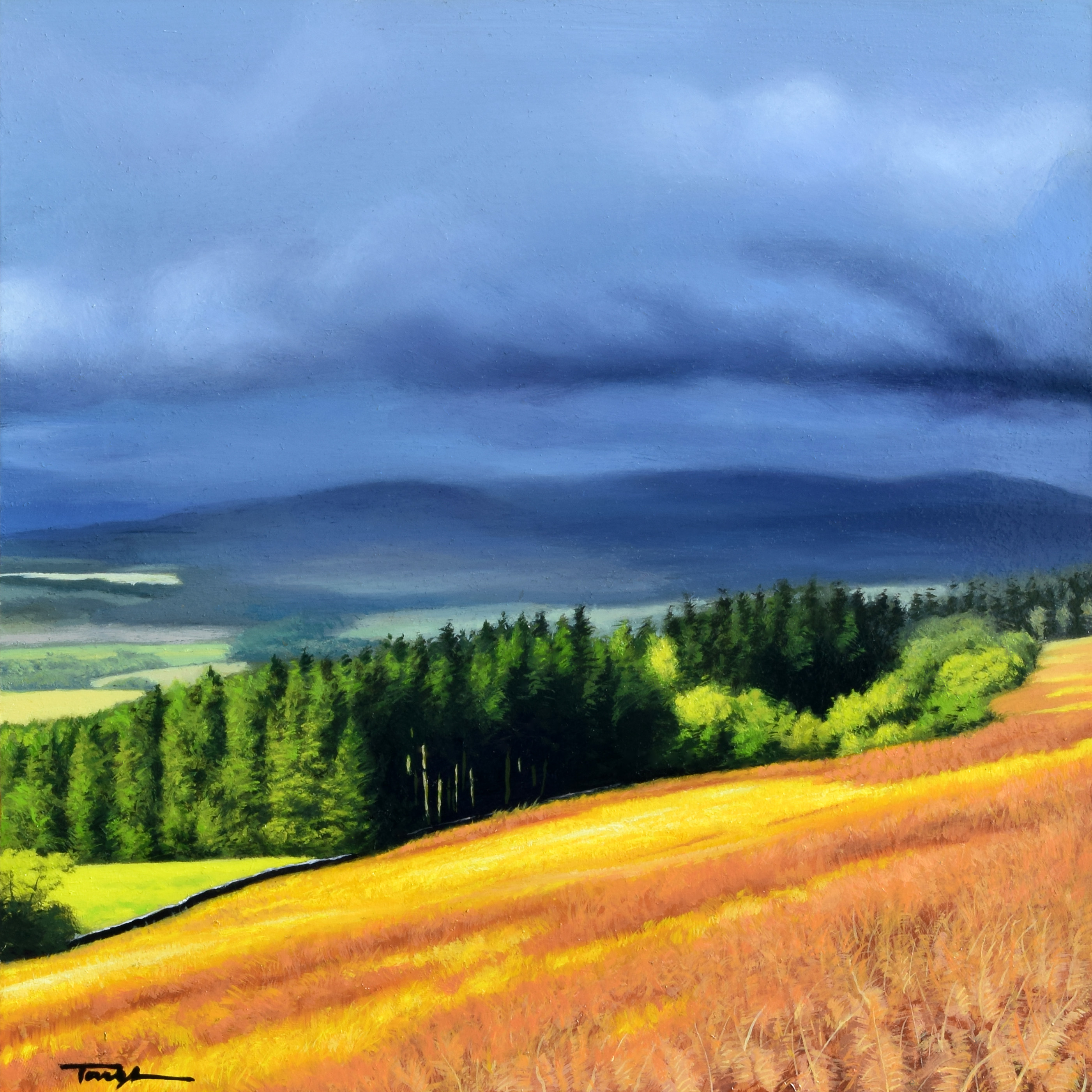 'View from Dumgoyne' by artist Andrew Tough
