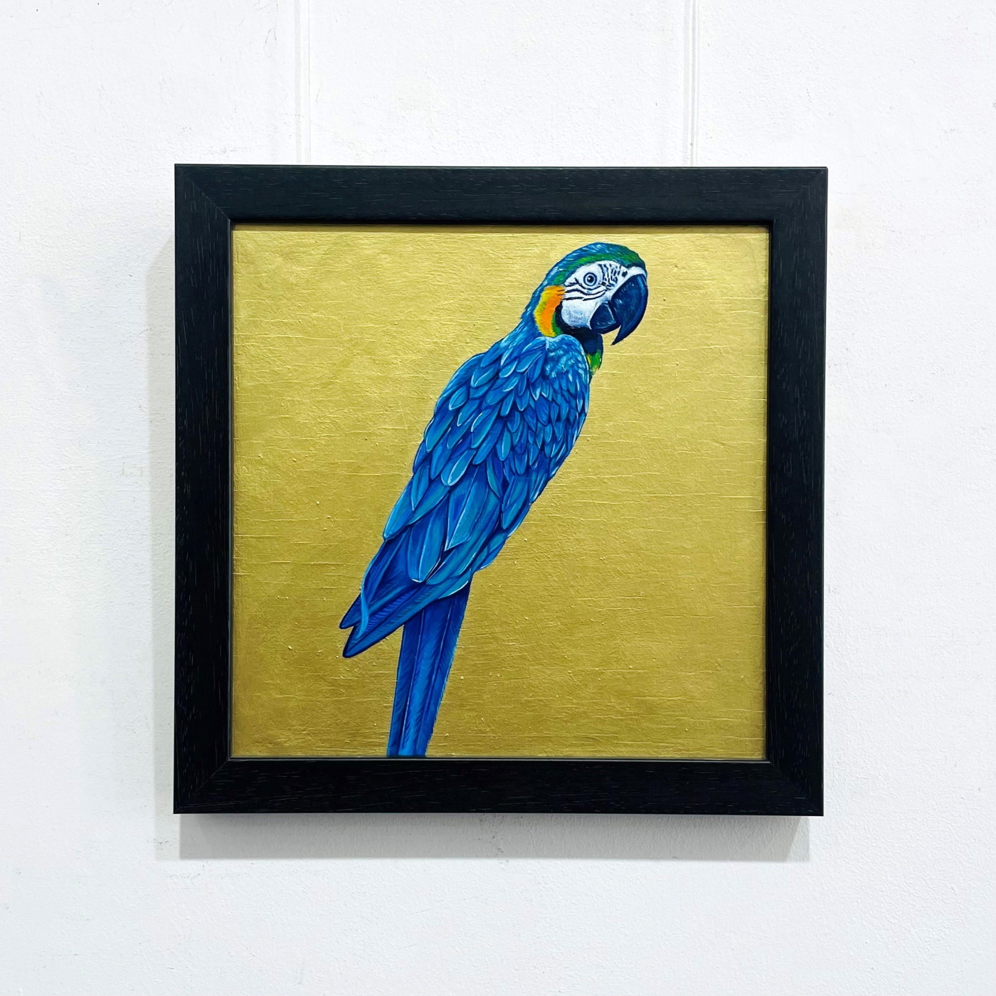 'Blue Parrot' by artist Victoria Heald