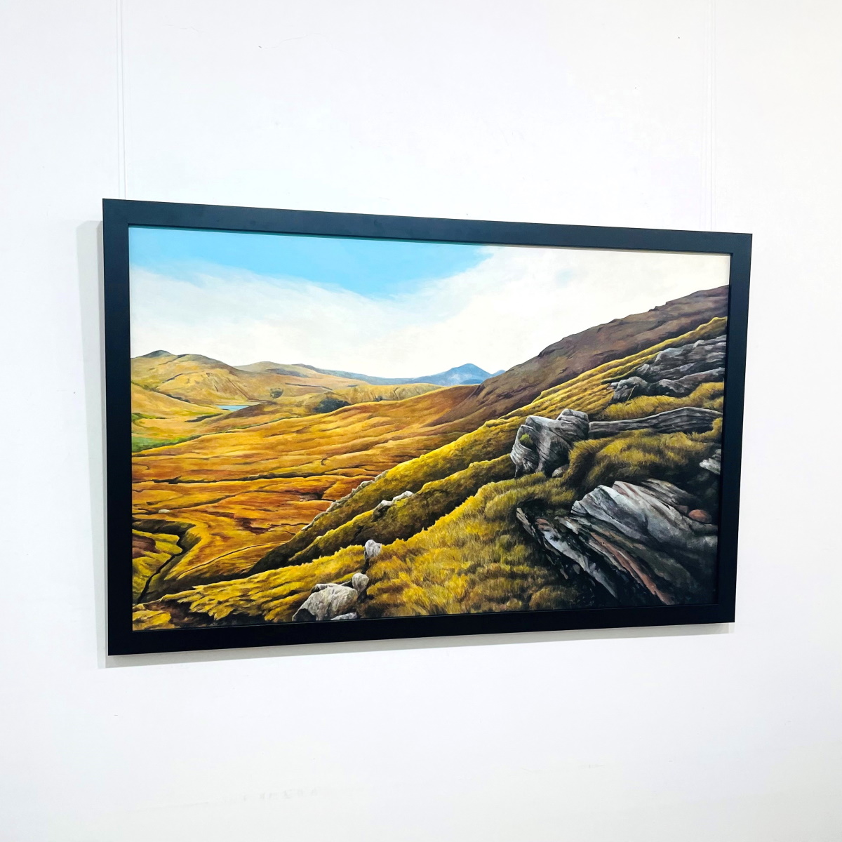 'Trossachs View' by artist Gavin Weir