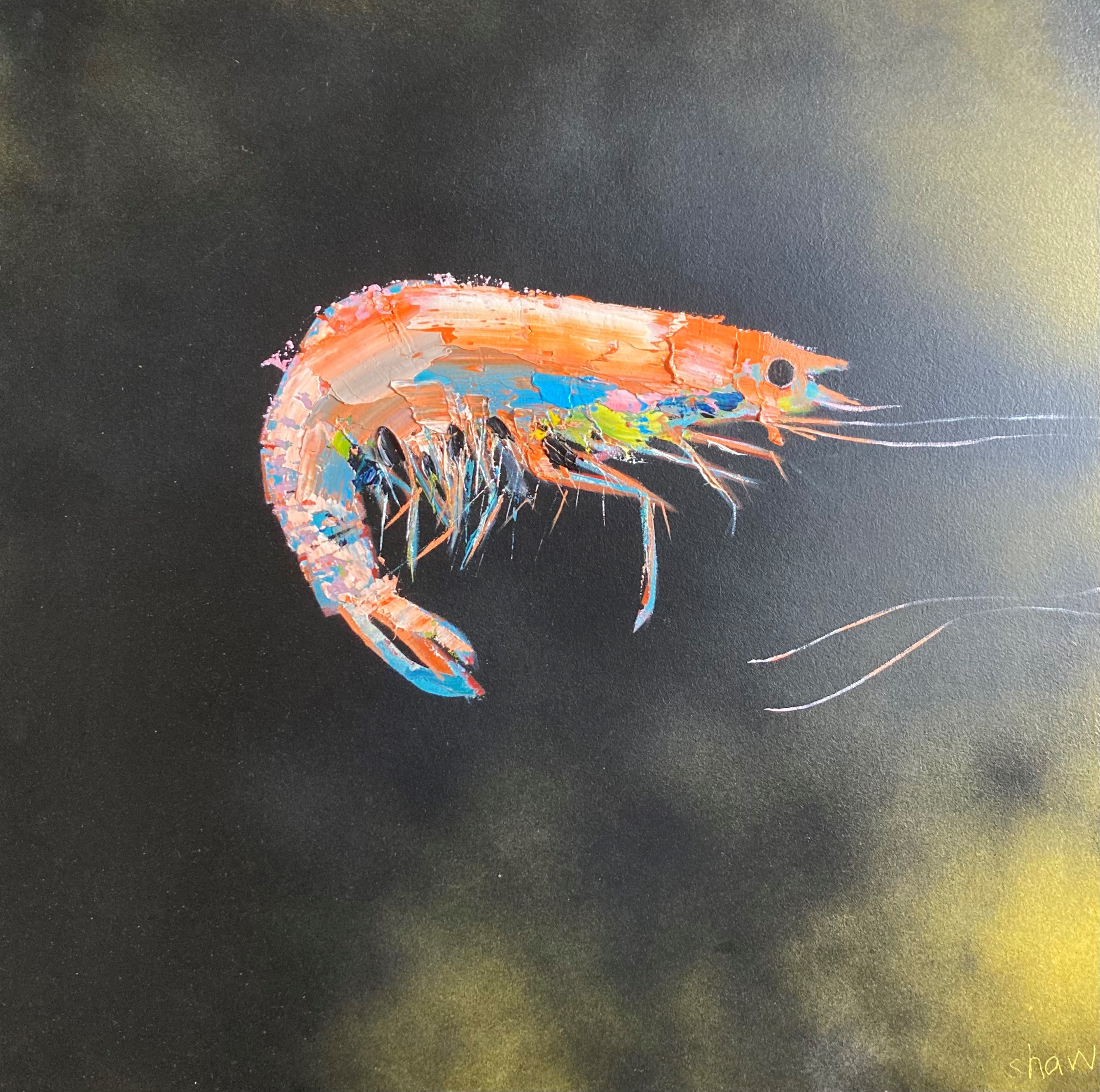 'Shrimp' by artist Rob Shaw