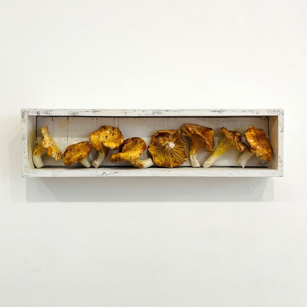 'The Pantry - Chanterelle Mushrooms' by artist Diana Tonnison