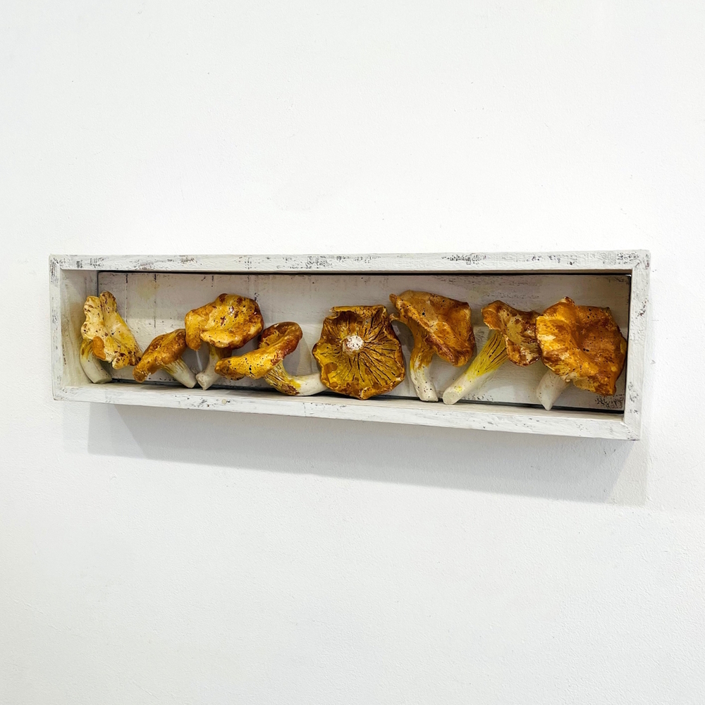 'The Pantry - Chanterelle Mushrooms' by artist Diana Tonnison