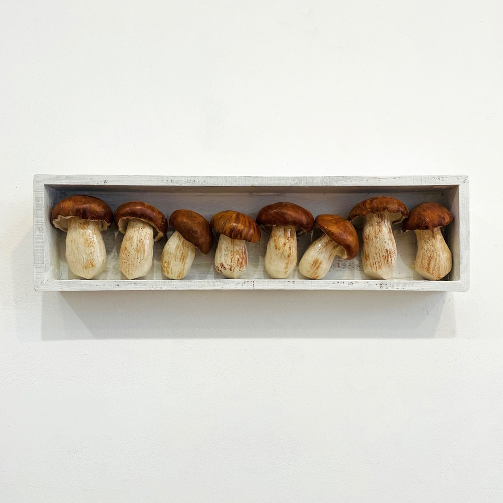 'The Pantry – Boletus Edulus Mushrooms II' by artist Diana Tonnison