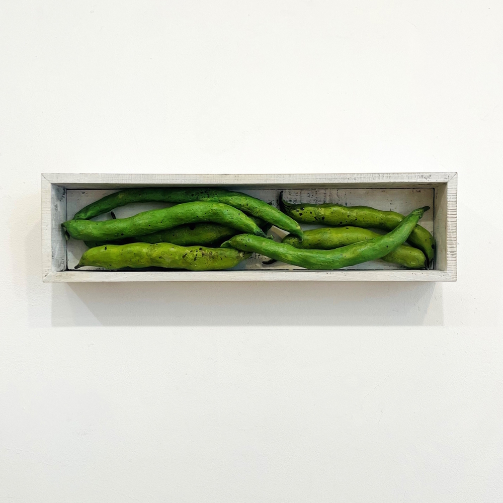 'The Pantry – Broad Beans' by artist Diana Tonnison