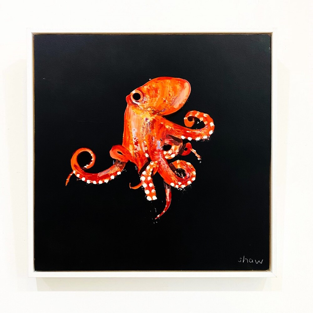 'Octopus' by artist Rob Shaw