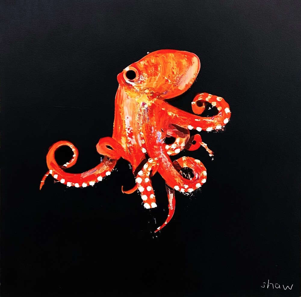 'Octopus' by artist Rob Shaw